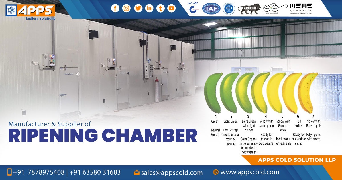 Ripening Chambers Supplier in Bihar