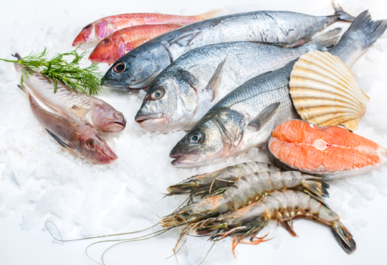 Fish